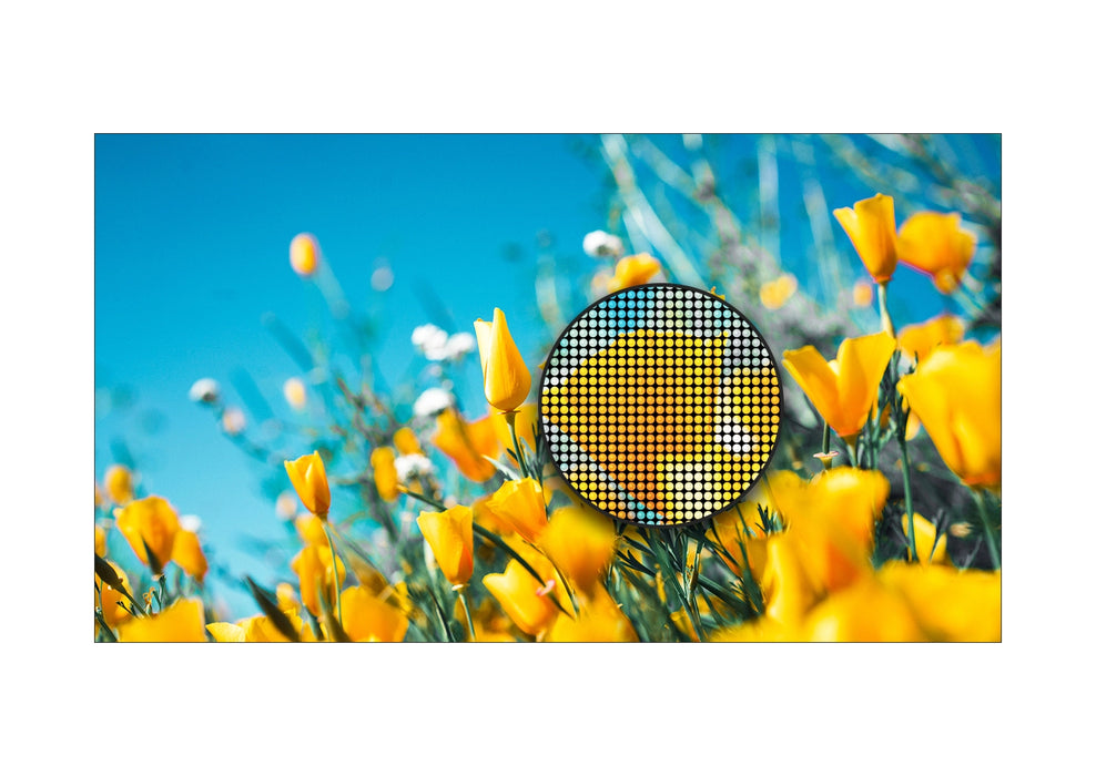 DV-LED All-in-One Window Displays
