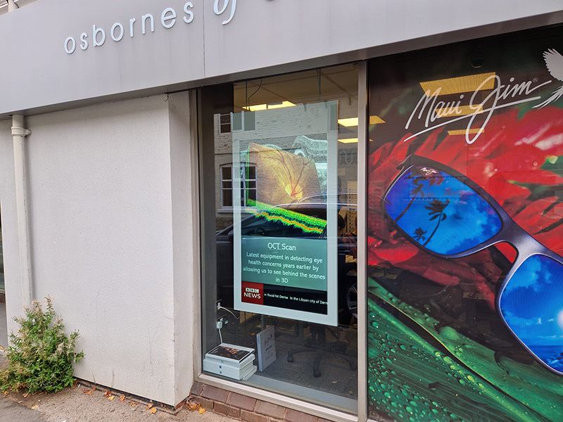 Hanging Double-Sided Window Displays