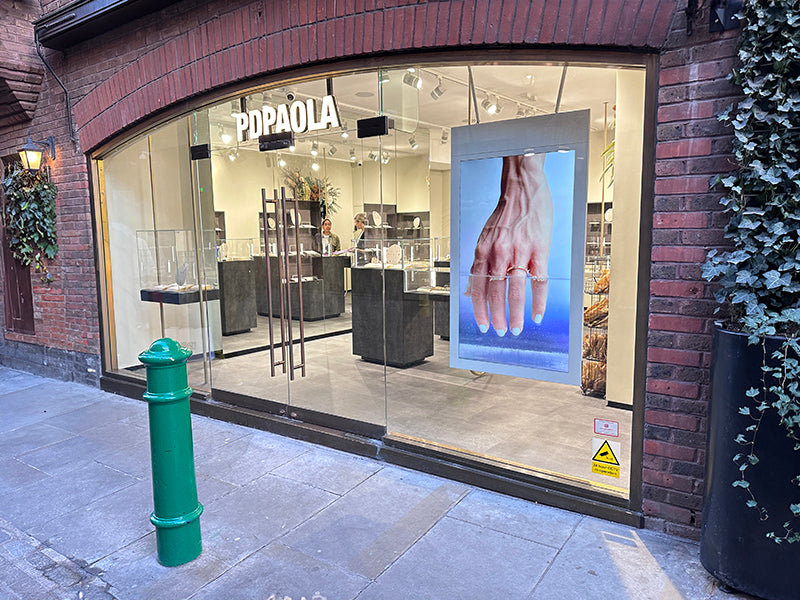 Hanging Double-Sided Window Displays