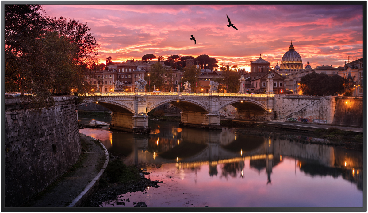 Samsung QB85R-B 85" 4K UHD Professional Display