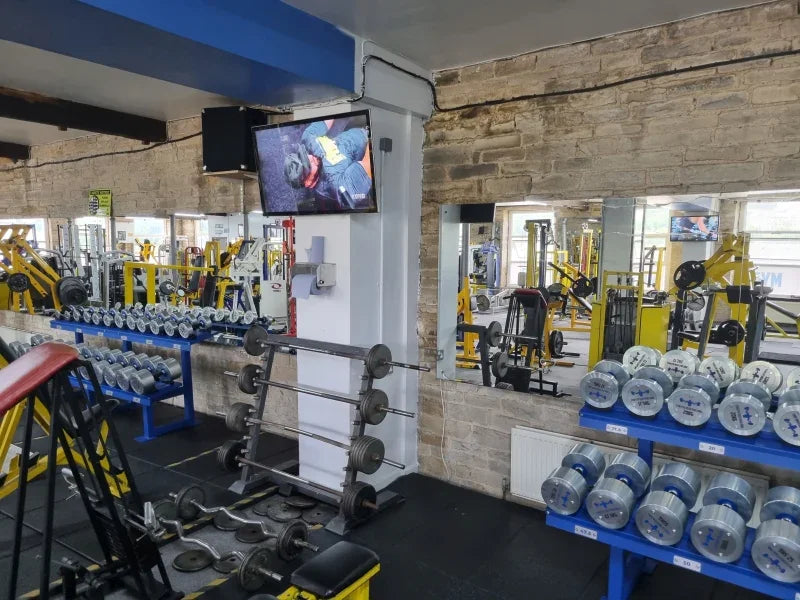 Slimline Pro Android Advertising Displays