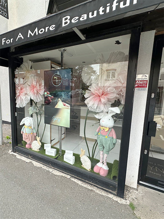 Ultra High Brightness Window Displays – 3,500cd/m² (43" - 75")